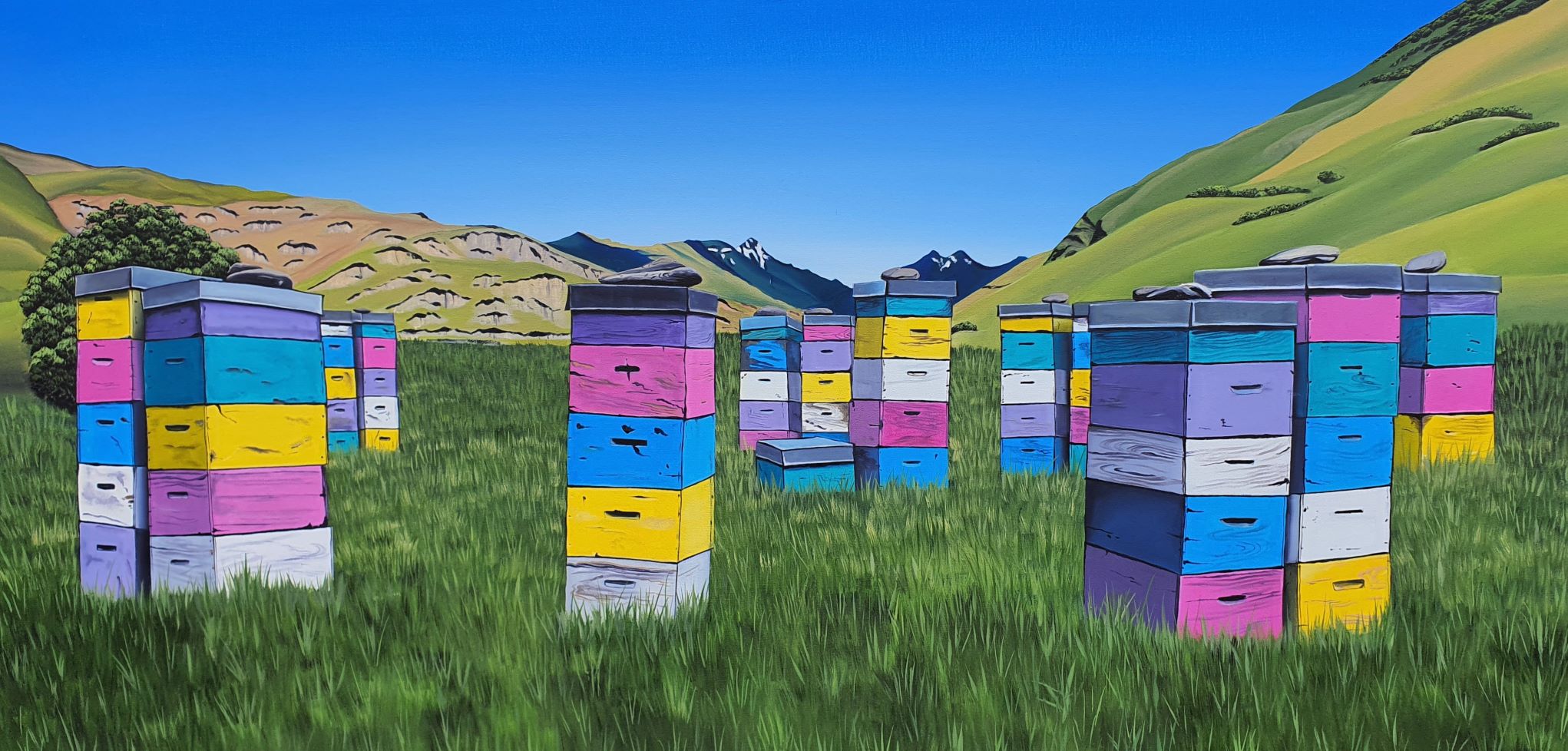 Bee Aware Hawea
